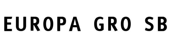 NHL Edge Los Angeles  Free Fonts Download