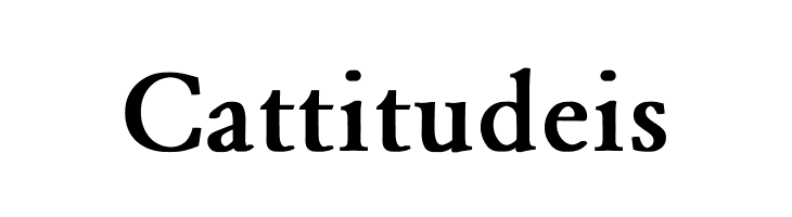 Garamond Bold  Free Fonts Download