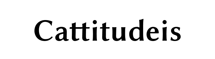 Linux Biolinum O Bold  Free Fonts Download