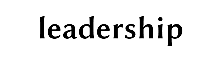 Linux Biolinum O Bold  Free Fonts Download