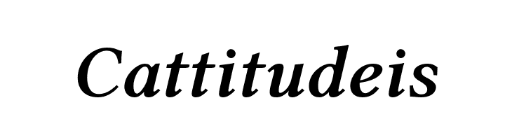 Linux Libertine O Bold Italic  Free Fonts Download