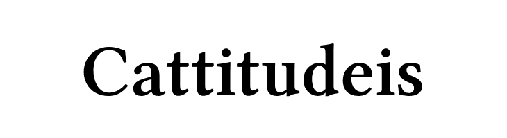 Linux Libertine O Bold  Free Fonts Download