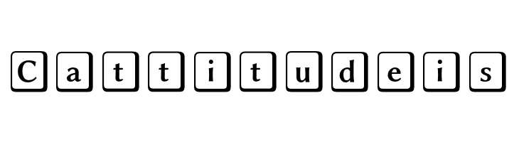 Linux Biolinum O Keyboard  Free Fonts Download