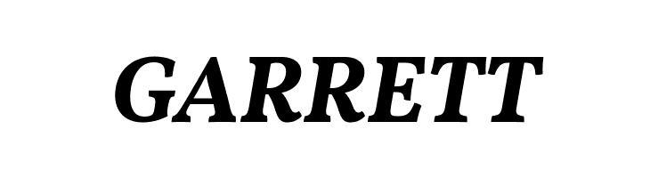 Vollkorn Bold Italic  Free Fonts Download