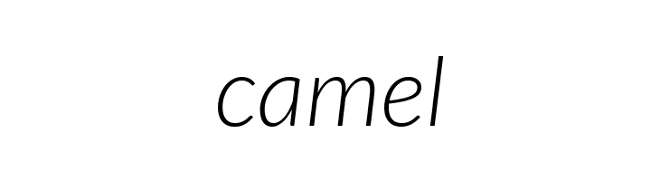 Lato Light Italic  Free Fonts Download