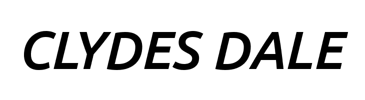 Ubuntu Medium Italic  Free Fonts Download