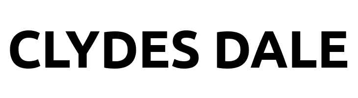 Ubuntu Bold  Free Fonts Download
