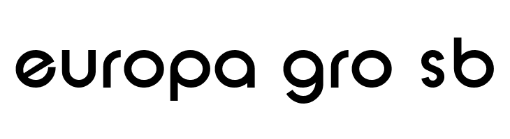 SF New Republic Bold  Free Fonts Download