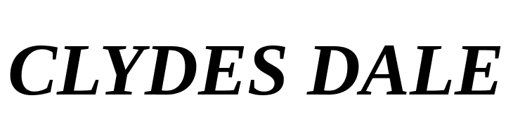 Tinos Bold Italic  Free Fonts Download