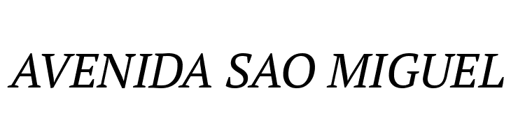 PT Serif Italic  Free Fonts Download