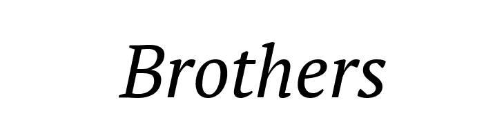 PT Serif Italic  Free Fonts Download