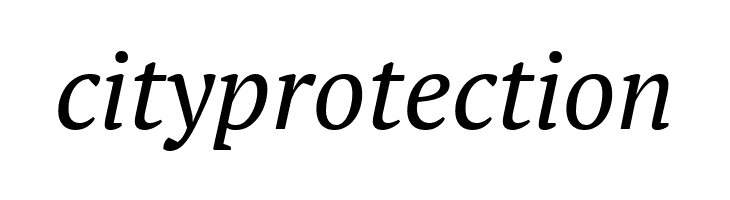 PT Serif Italic  Free Fonts Download