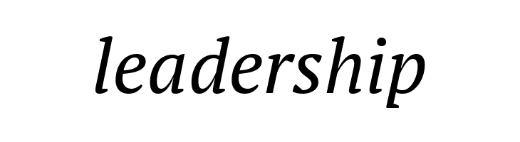 PT Serif Italic  Free Fonts Download