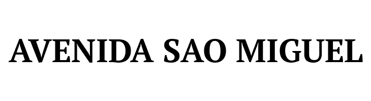 PT Serif Bold  Free Fonts Download