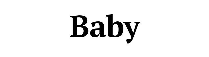 PT Serif Bold  Free Fonts Download