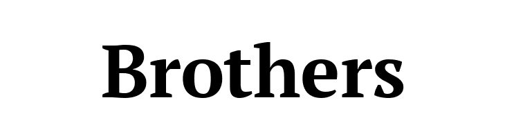 PT Serif Bold  Free Fonts Download