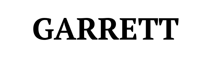 PT Serif Bold  Free Fonts Download