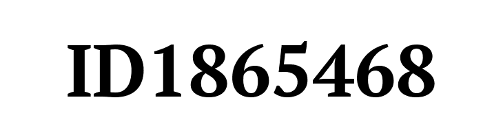 PT Serif Bold  Free Fonts Download