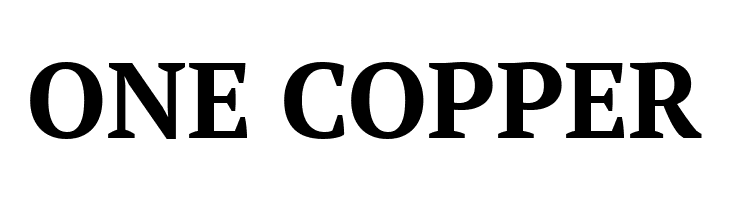 PT Serif Bold  Free Fonts Download