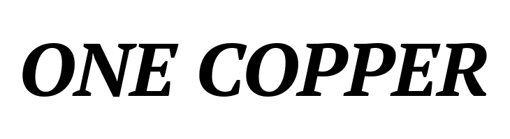 PT Serif Bold Italic  Free Fonts Download