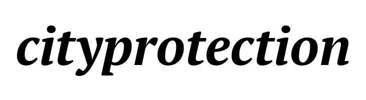 PT Serif Bold Italic  Free Fonts Download