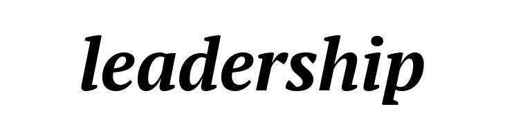 PT Serif Bold Italic  Free Fonts Download