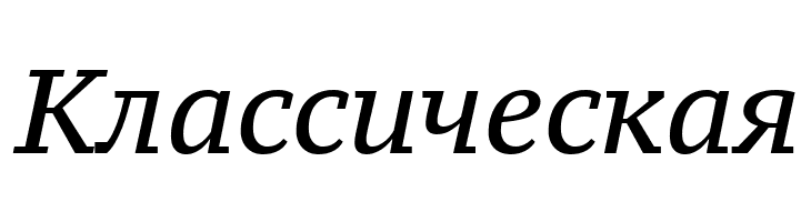 PT Serif Caption Italic  Free Fonts Download