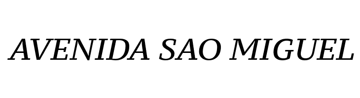 PT Serif Caption Italic  Free Fonts Download