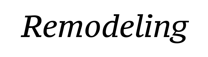 PT Serif Caption Italic  Free Fonts Download