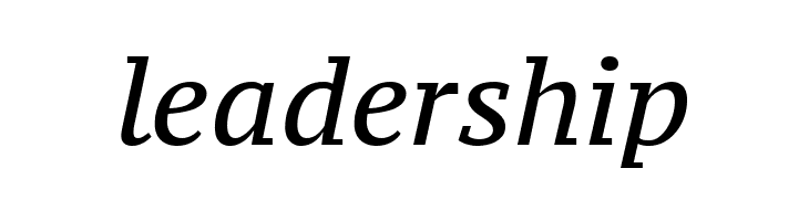 PT Serif Caption Italic  Free Fonts Download