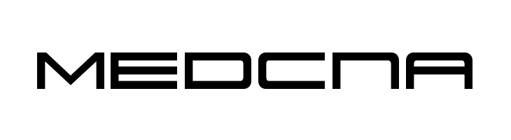 911 Porscha  Free Fonts Download