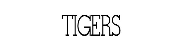 Stymie-Light Regular  Free Fonts Download