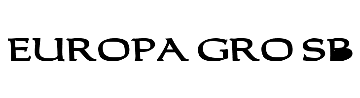 Carolus Bold  Free Fonts Download
