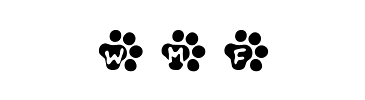 Catty  Free Fonts Download