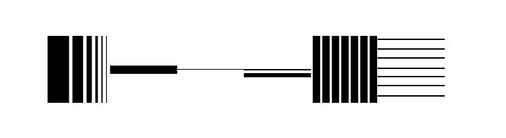 Bunch Regular  Free Fonts Download