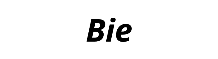 Open Sans Bold Italic  Free Fonts Download