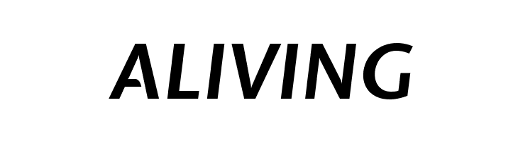 Expletus Sans Bold Italic  Free Fonts Download