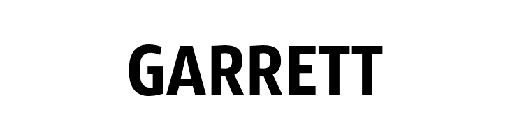 SansusWebissimo  Free Fonts Download