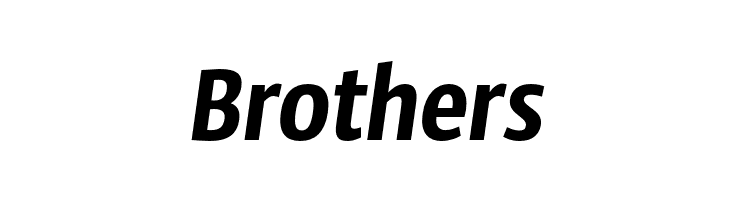 SansusWebissimo-Italic  Free Fonts Download