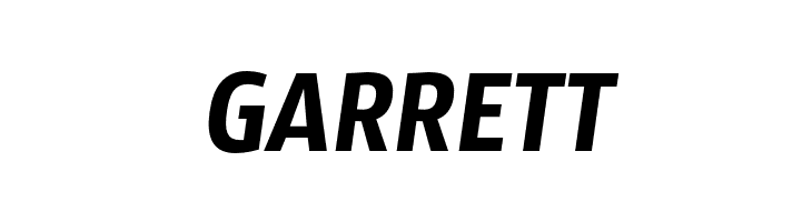 SansusWebissimo-Italic  Free Fonts Download