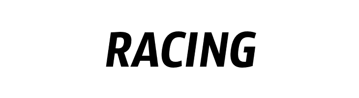 SansusWebissimo-Italic  Free Fonts Download