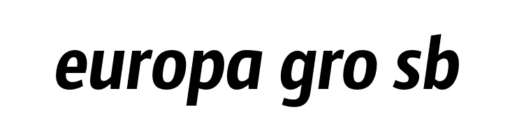 SansusWebissimo-Italic  Free Fonts Download