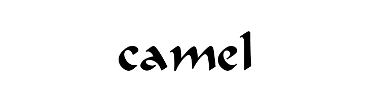 Bodacious Regular  Free Fonts Download