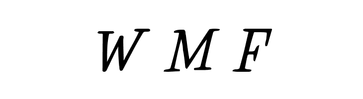 MuggyNew84 Bold  Free Fonts Download