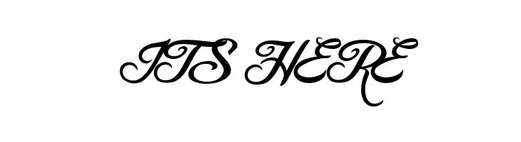 Blessed Day  Free Fonts Download