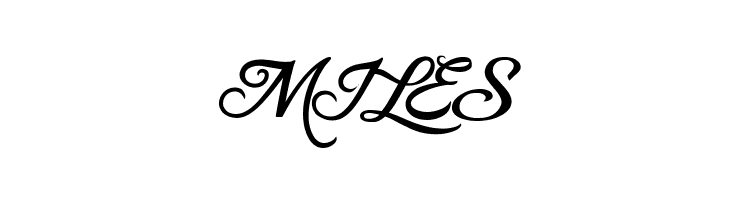 Blessed Day  Free Fonts Download