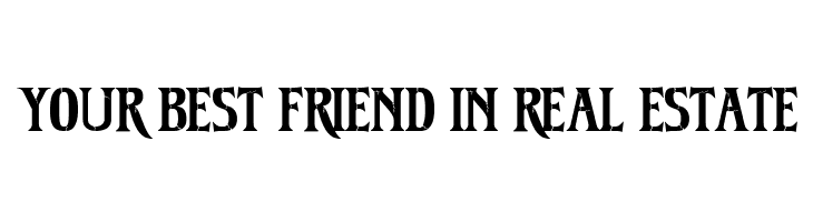 Reanimator DEMO  Free Fonts Download