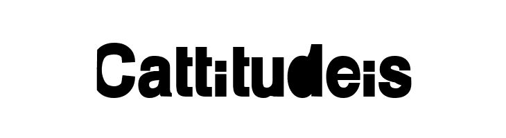 Paolo Bold  Free Fonts Download