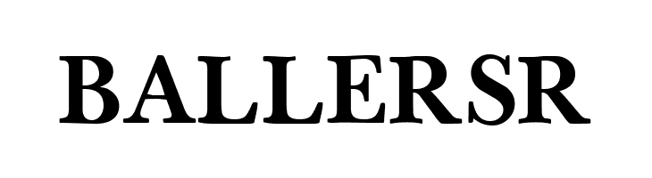 BaselBook Bold  Free Fonts Download