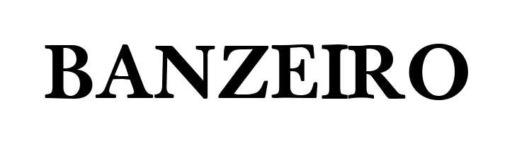 BaselBook Bold  Free Fonts Download